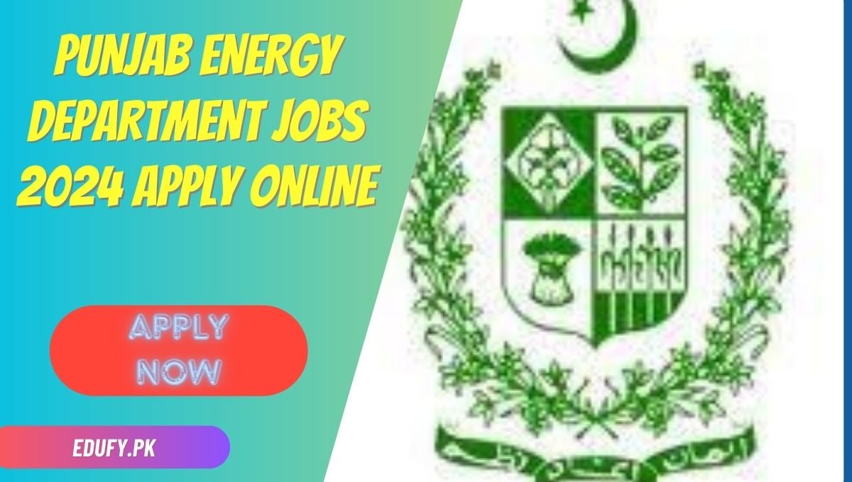 Punjab Energy Department Jobs 2024 Apply Online