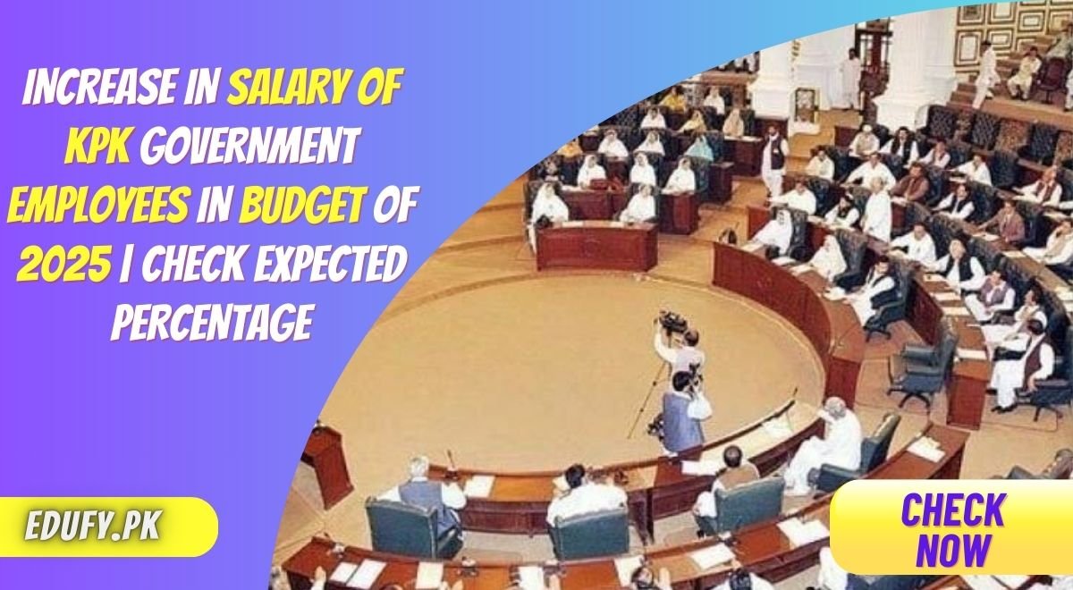 Increase in salary of KPK Government employees in Budget Of 2025 Check Expected Percentage